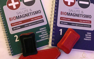 Biomagnetismo: cos’è e come funziona?